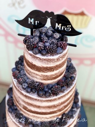 tarta boda pajaritos