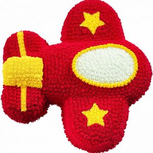 wilton molde 3d avion