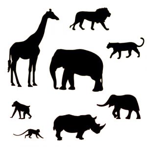 Set cortadores patchwork animales safari