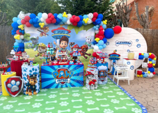 Decoración de cumpleaños Patrulla Canina