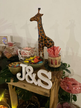 Mesa dulce boda temática Safari África