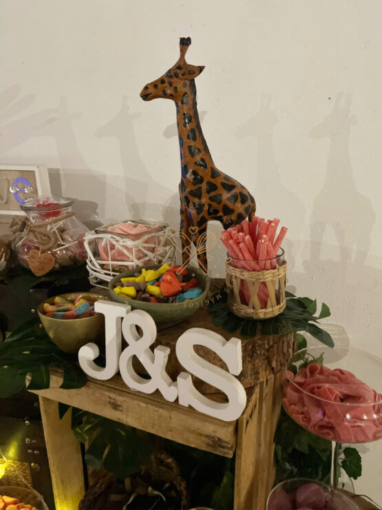 Mesa dulce boda temática Safari África