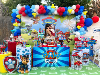 Decoración de cumpleaños Patrulla Canina