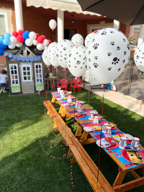 Decoración de cumpleaños Patrulla Canina