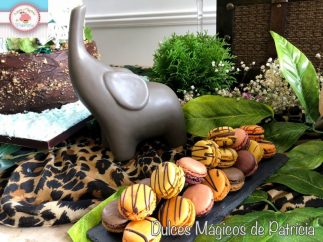 Candy bar boda Safari S&T