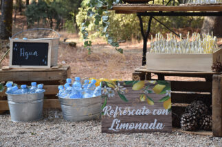Rincón de Limonada y agua