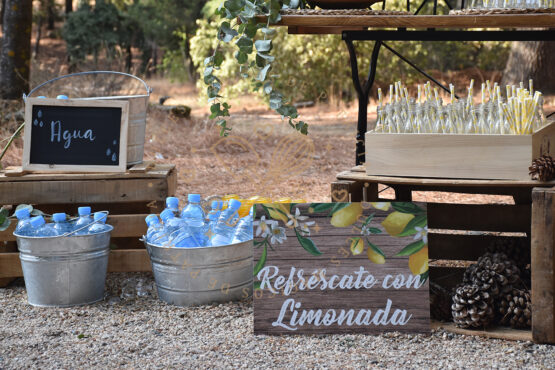 Rincón de Limonada y agua