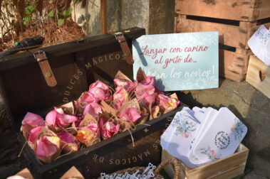 Detalle pétalos de rosa