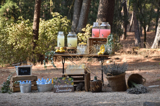 Rincón de Limonada y agua