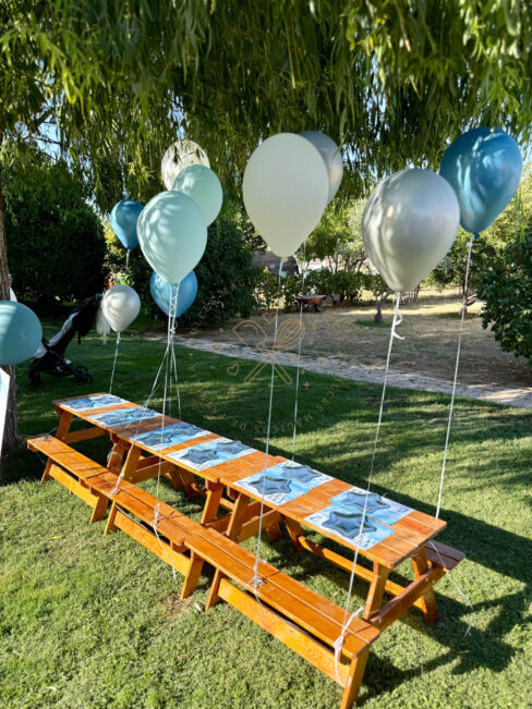 decoracion-mesa-dulce-fiesta-pinguinos