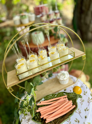 mesa-dulce-animales-safari-madrid