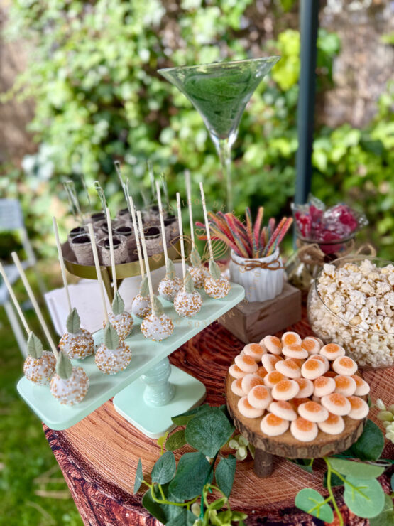 mesa-dulce-animales-safari-madrid